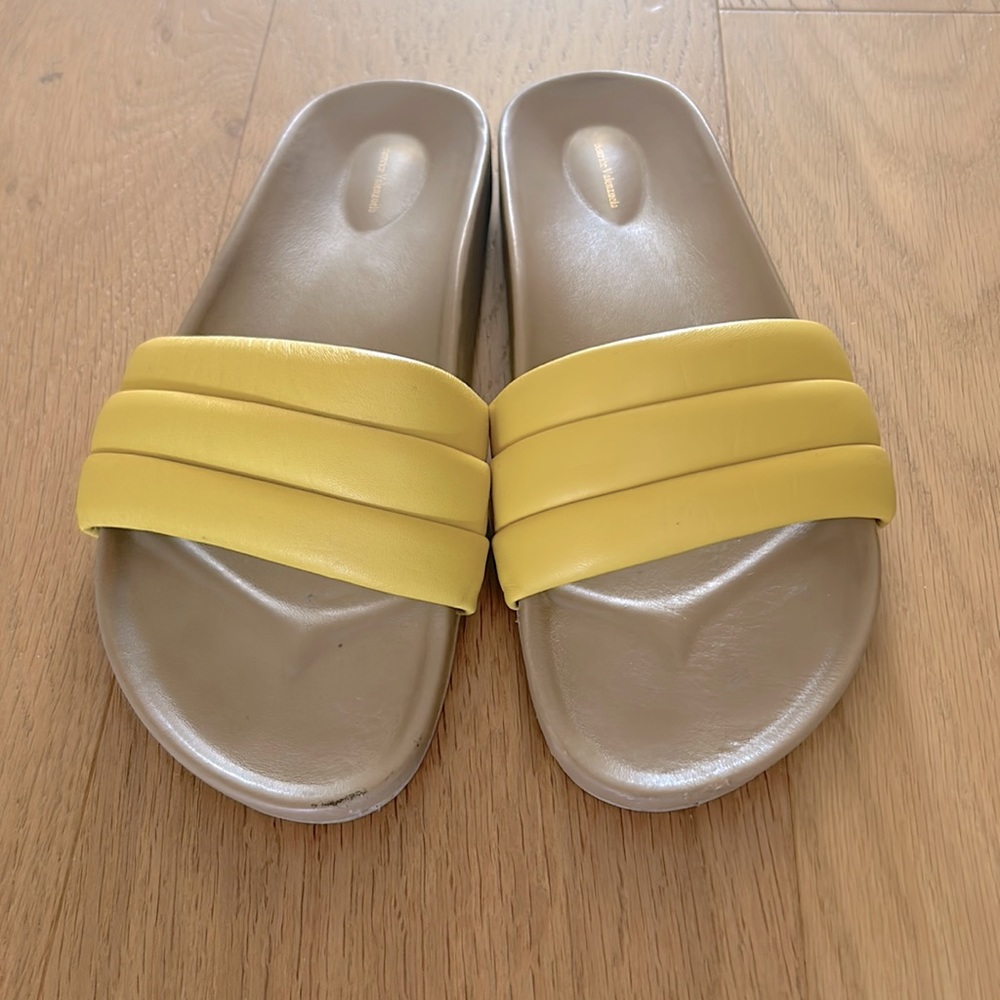 Beatrice Valenzuela slides in yellow, size 8